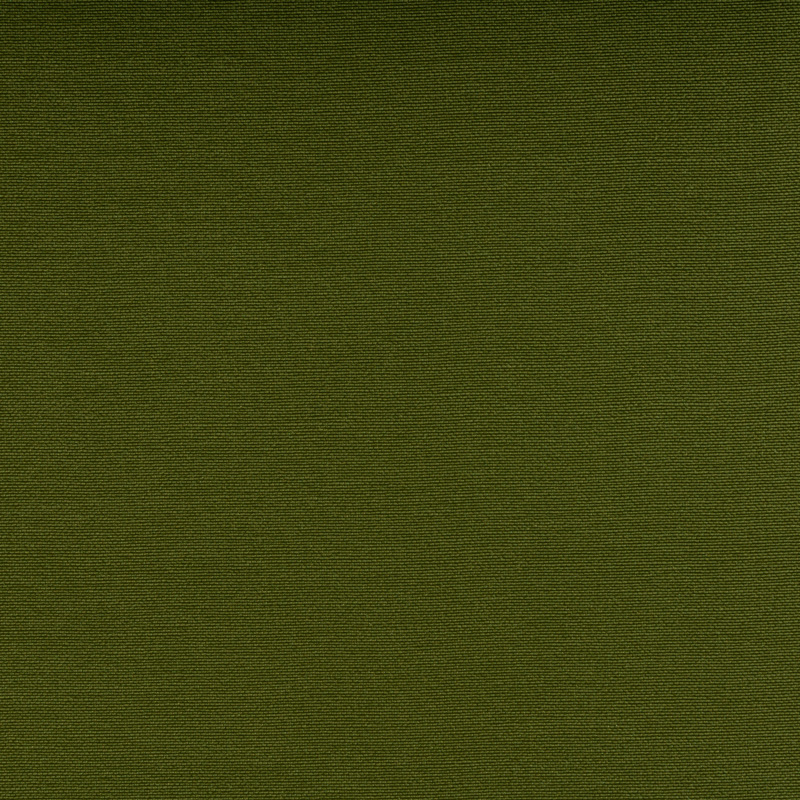 TSSI-5020 basil